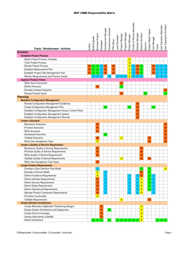 CMMI Responsibility Assignment Matrix | PDF | Software Bug | Quality Of ...