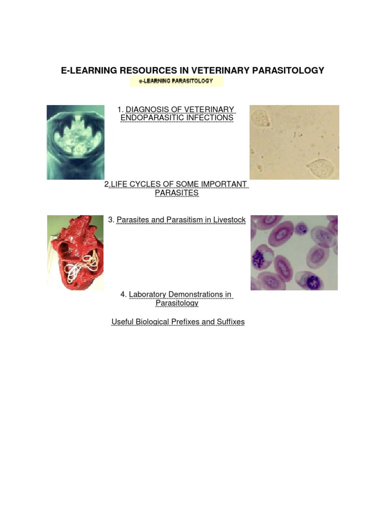 Veterinary Parasitology by Valsoriml PDF Parasitism Nematode