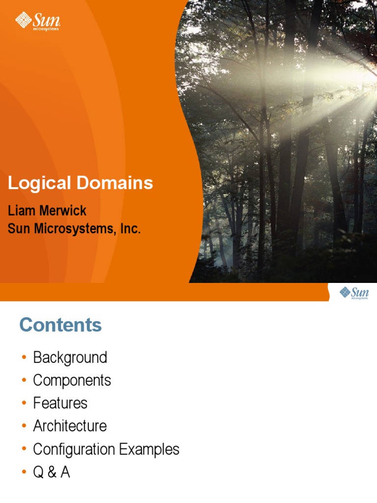 LDoms Configuration | PDF | Virtualization | Operating System