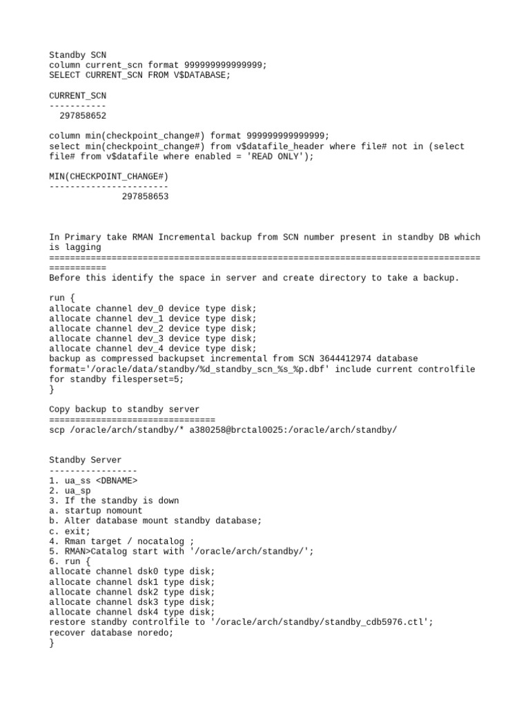 RMAN Incremental Backup for Standby DB | PDF