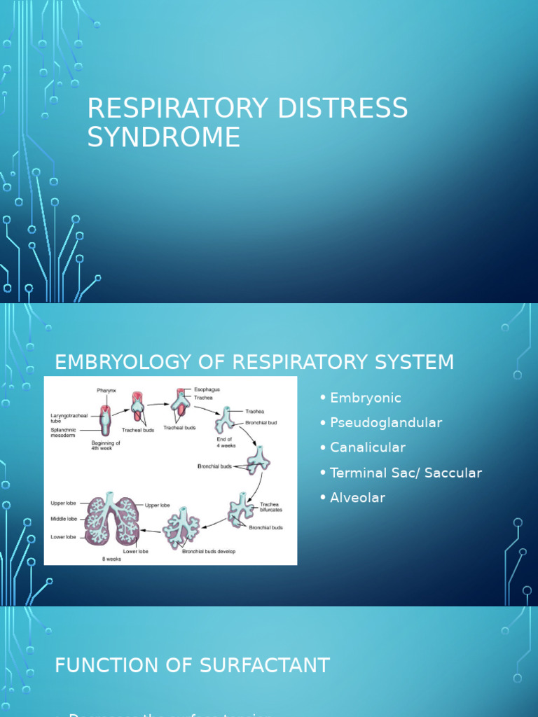 Understanding Respiratory Distress Syndrome | PDF | Respiratory System ...
