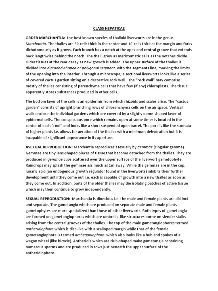 Class Hepaticae PDF Spore Sexual Reproduction