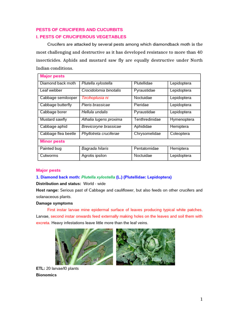 Crucifer and Cucurbit Pest Guide | PDF | Pupa | Lepidoptera