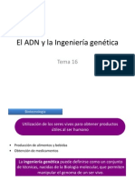 Eladnylaingenieragentica 110404134754 Phpapp02