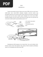 Referat LMN Naf