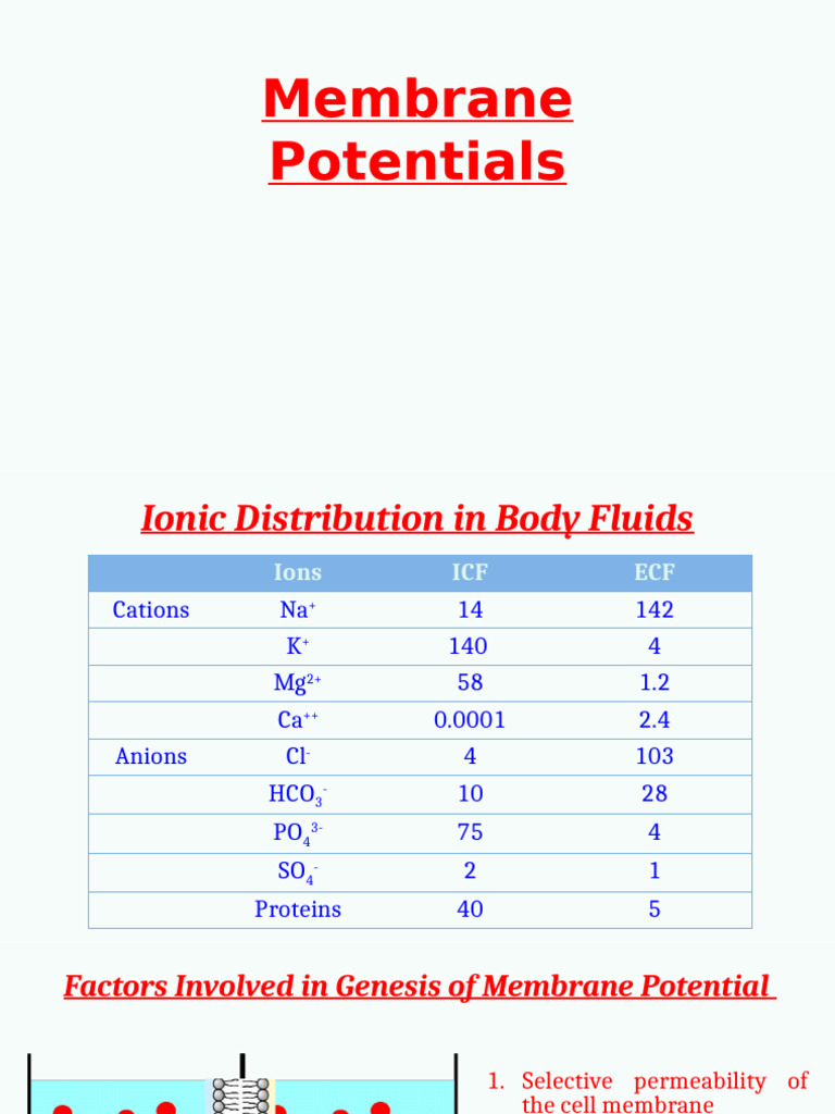 Membrane Voltage and Potential Dynamics | PDF | Membrane Potential ...