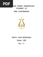 Download MAKALAH TUGAS ORGANOLOGI by Iwan Setianjaya SN91738947 doc pdf