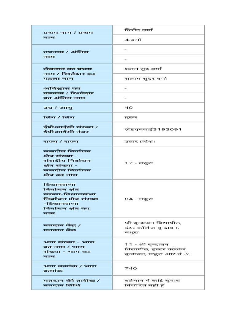Voter Information | PDF