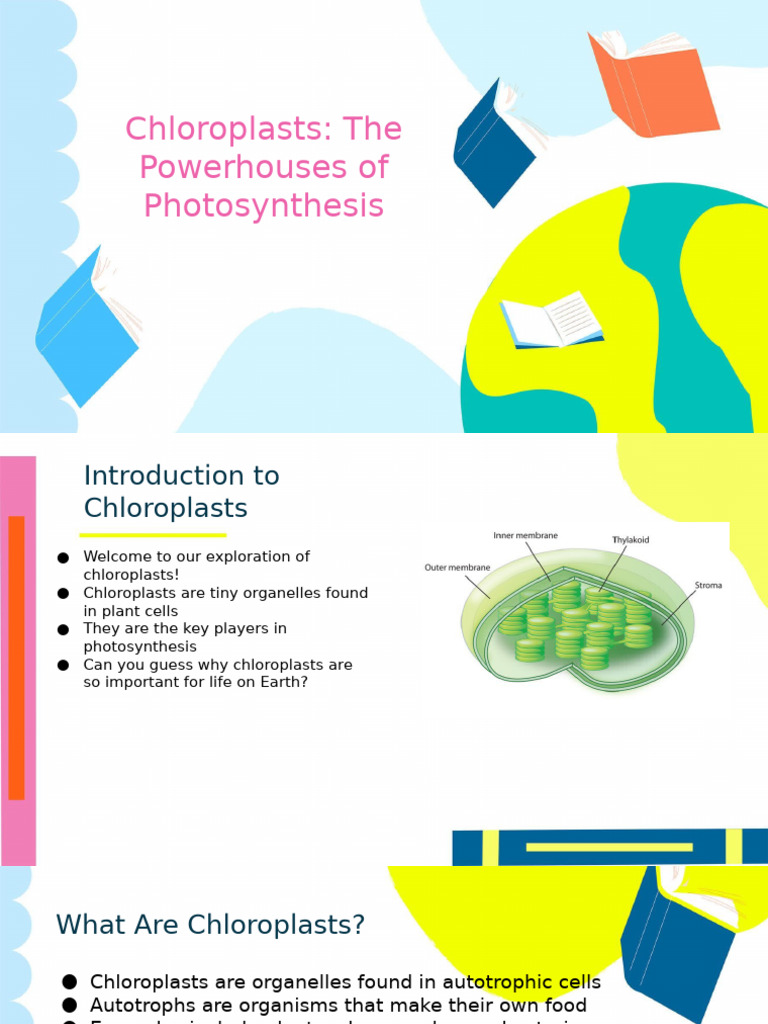 Chloroplasts The Powerhouses of Photosynthesis | PDF | Chloroplast ...