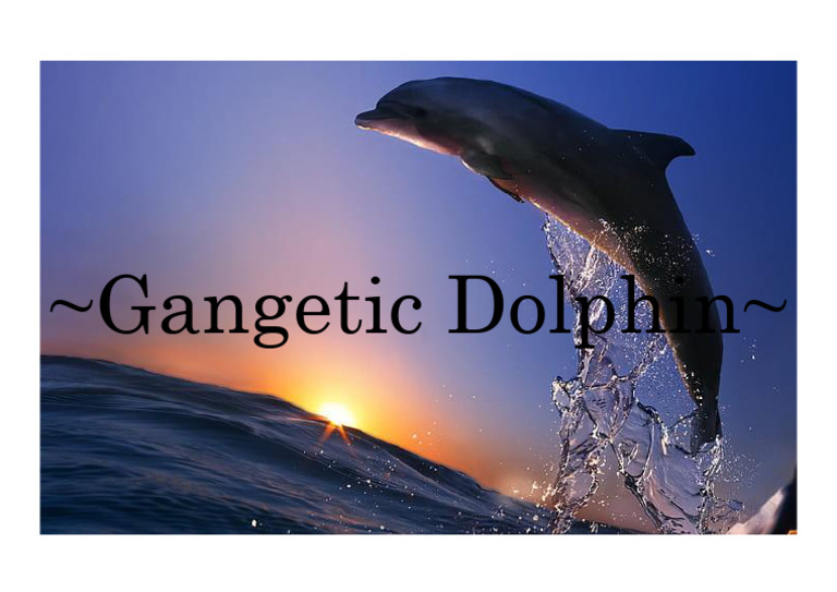Dolphin | PDF