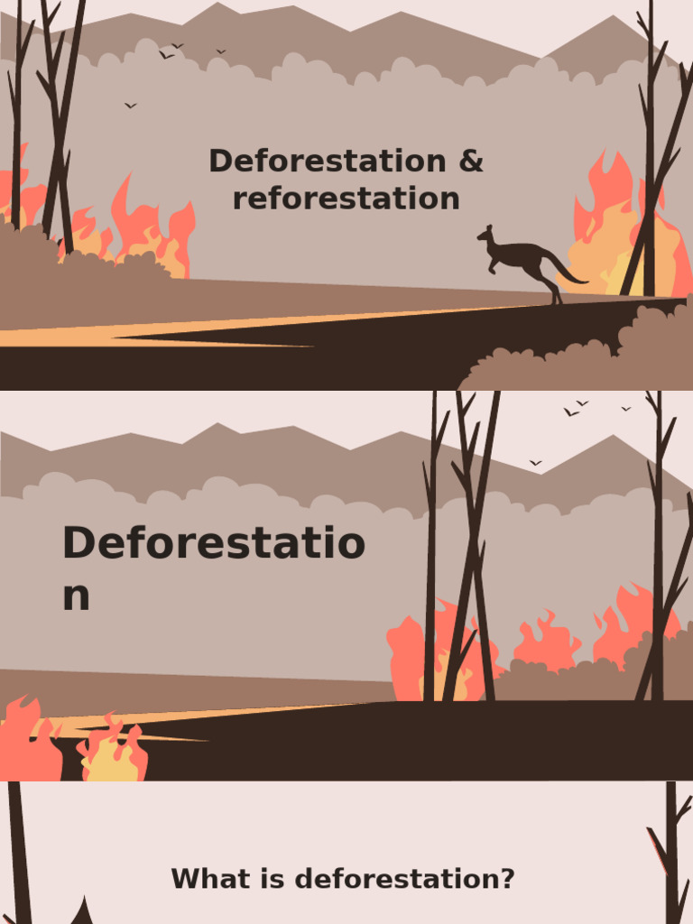 Deforestation and Reforestation Insights | PDF | Deforestation | Soil