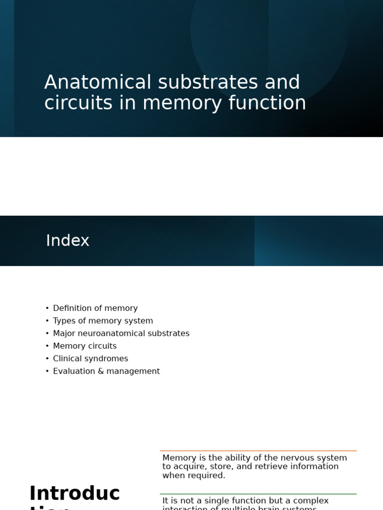 Memory Function: Anatomy & Circuits | PDF | Hippocampus | Memory