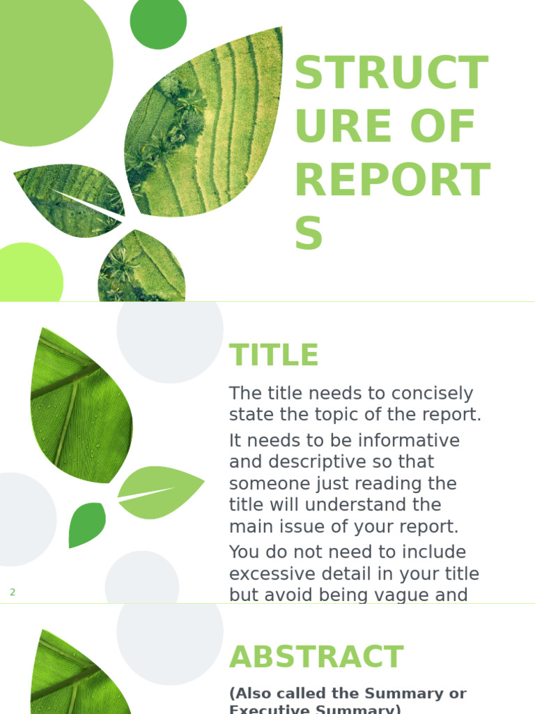 Report Structure and Writing Guide | PDF | Color | Blue