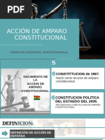 Formulario Recurso de Amparo Constitucional | PDF | Tribunales | Gobierno