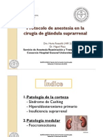 PLAZA Anestesia Cirugia Glandula Supra Renal Sesion SARTD CHGUV 17-1-12