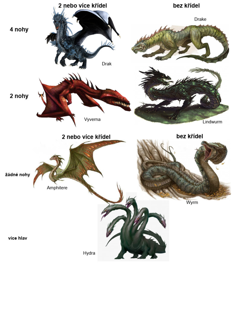Draci | PDF