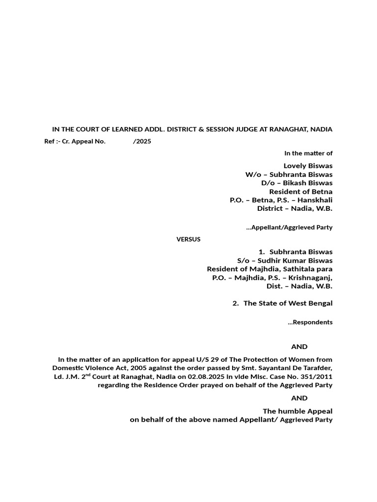 Appeal Under Section 29 of DV Act | PDF | Appeal | Evidence