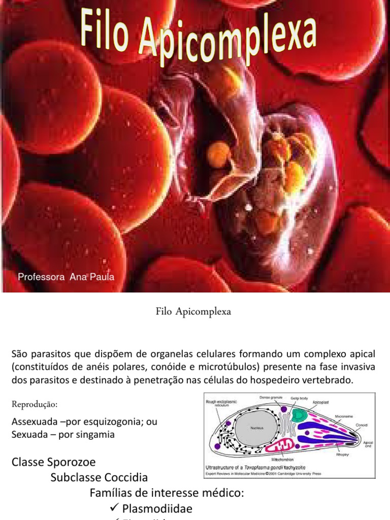 3 Apicomplexa | PDF | Malária | Doenças de animais