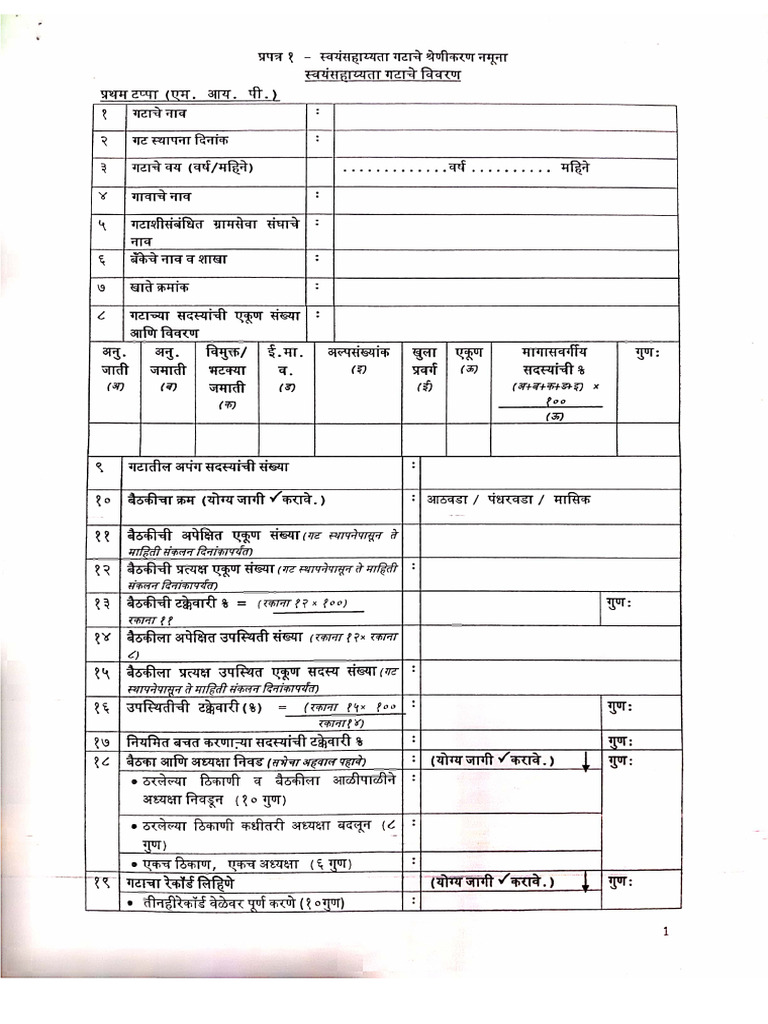 Mip Form Format | PDF