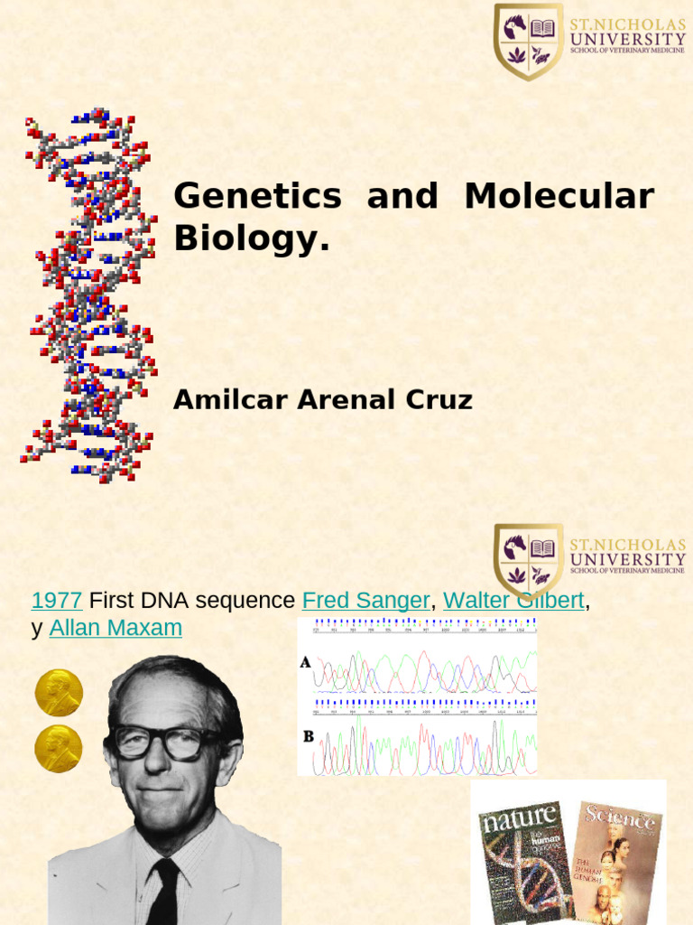 Lecture1 | PDF | Molecular Cloning | Angiogenesis