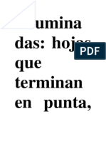 Diccionario Forrajero