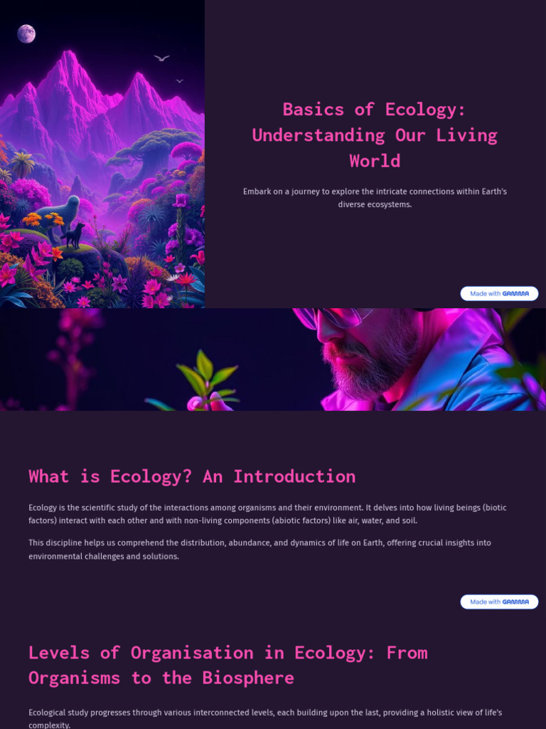 Ecology Basics: Understanding Ecosystems | PDF | Ecosystem | Food Web