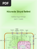 Download Hcrede Sinyal letimi by Ezgi Altnk SN91747224 doc pdf