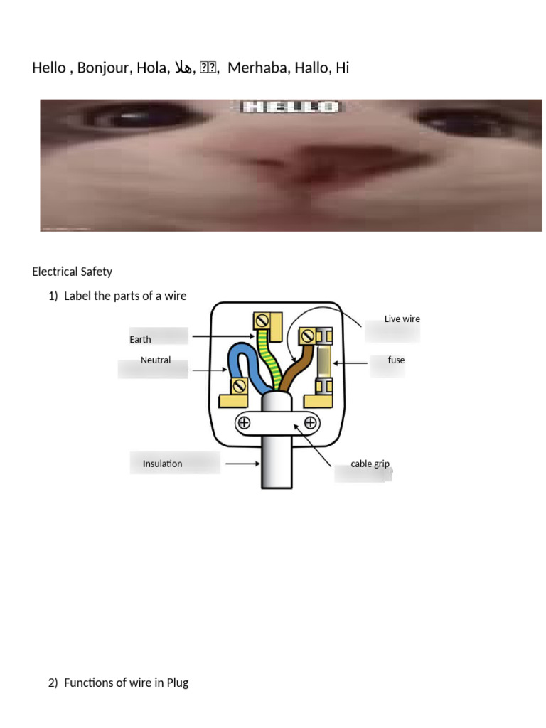 Understanding Electrical Wiring Basics | PDF