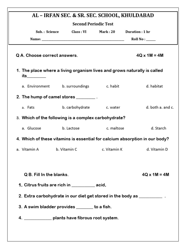 Class VI Science Test Paper | PDF
