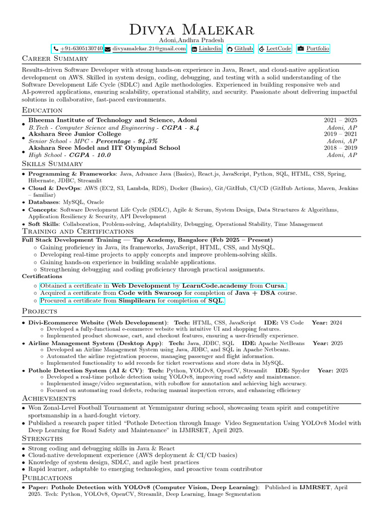 Java Developer Portfolio Overview | PDF | Software Development Process ...