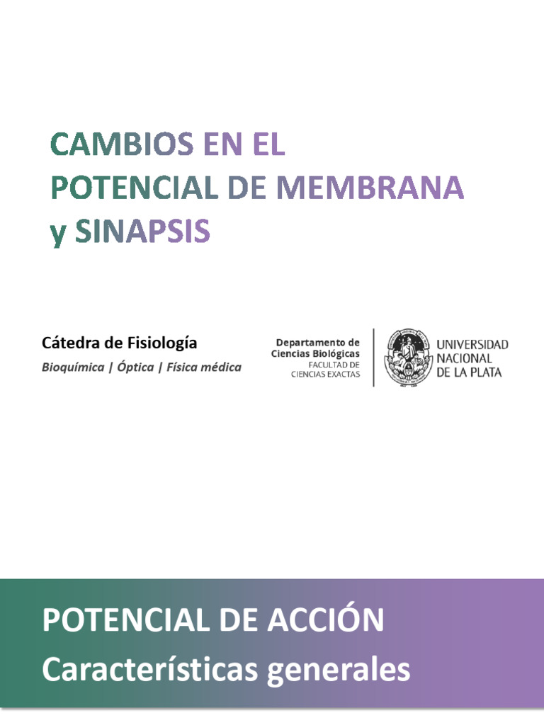 Cambios en Potencial de Acción y Sinapsis | PDF | Sinapsis | Potencial ...
