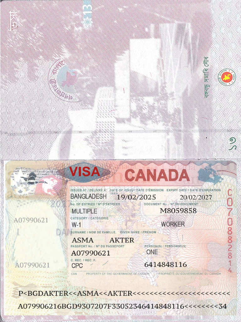 Visa | PDF