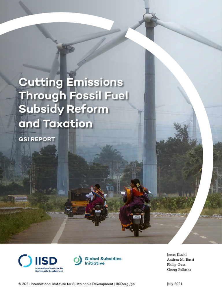 Fossil Fuel Subsidy Reform for Emission Cuts | PDF | Climate Change ...