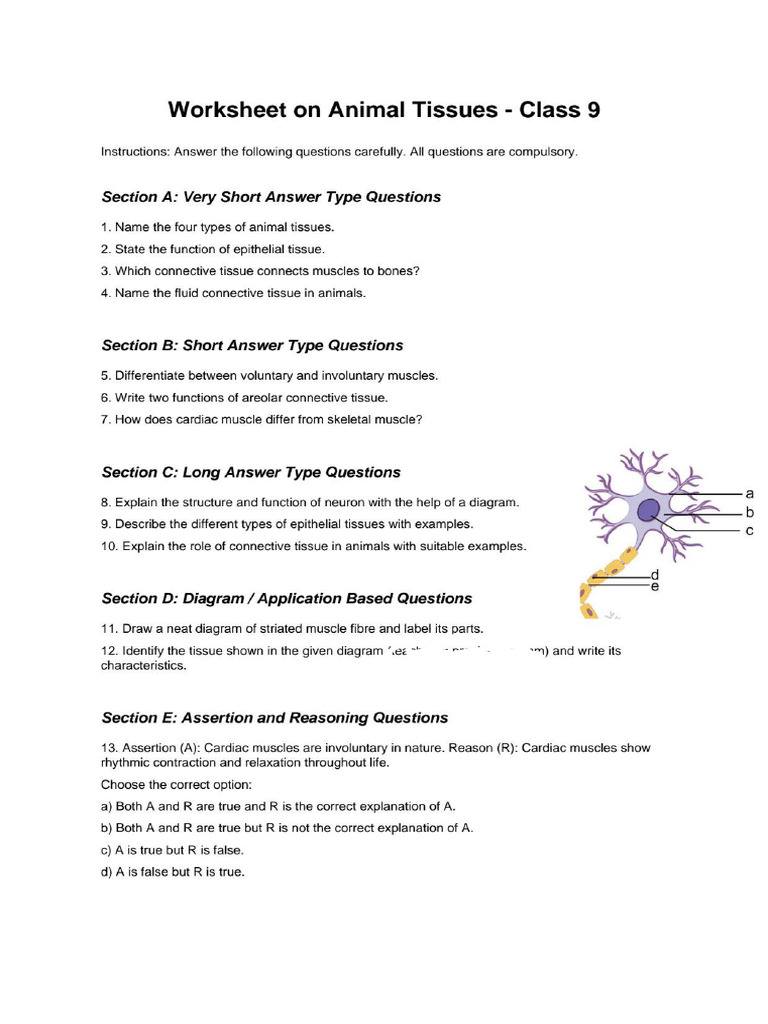 Animal Tissues Class9 Worksheet | PDF