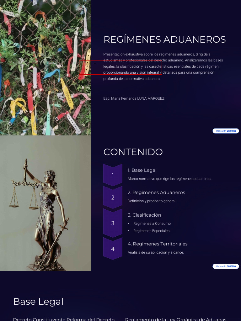 Guía Completa sobre Regímenes Aduaneros | PDF | aduana | Arancel