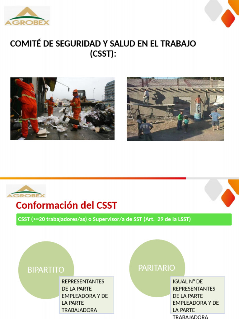 CSST | PDF | Gobierno