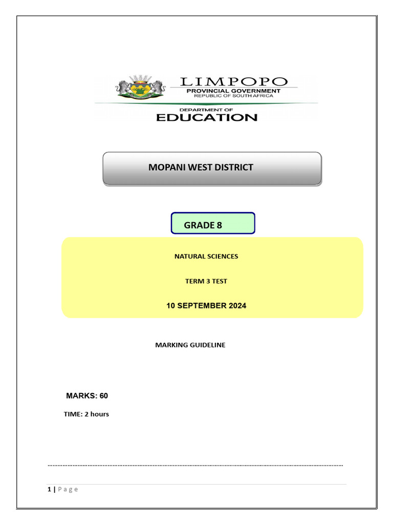 Grade 8 Natural Science Term 3 Test | PDF | Series And Parallel ...
