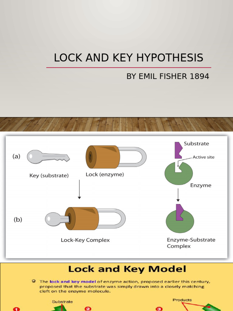 Enzyme Inhibition: Types & Mechanisms | PDF