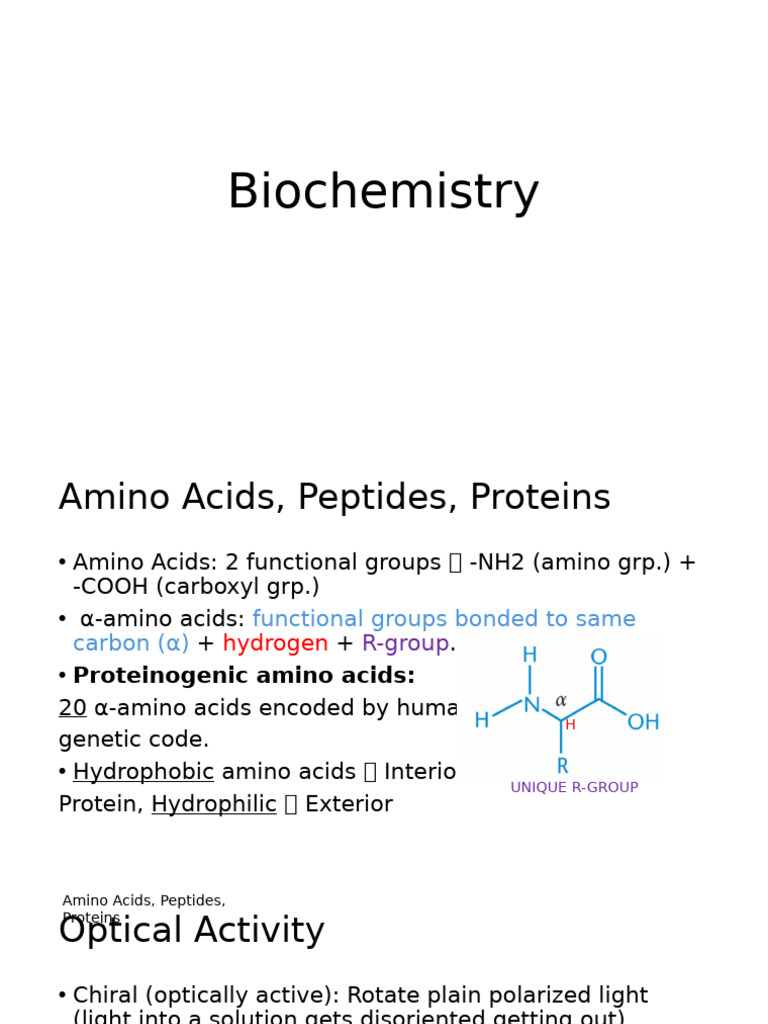 Biochem Full Review | PDF | Amino Acid | Enzyme