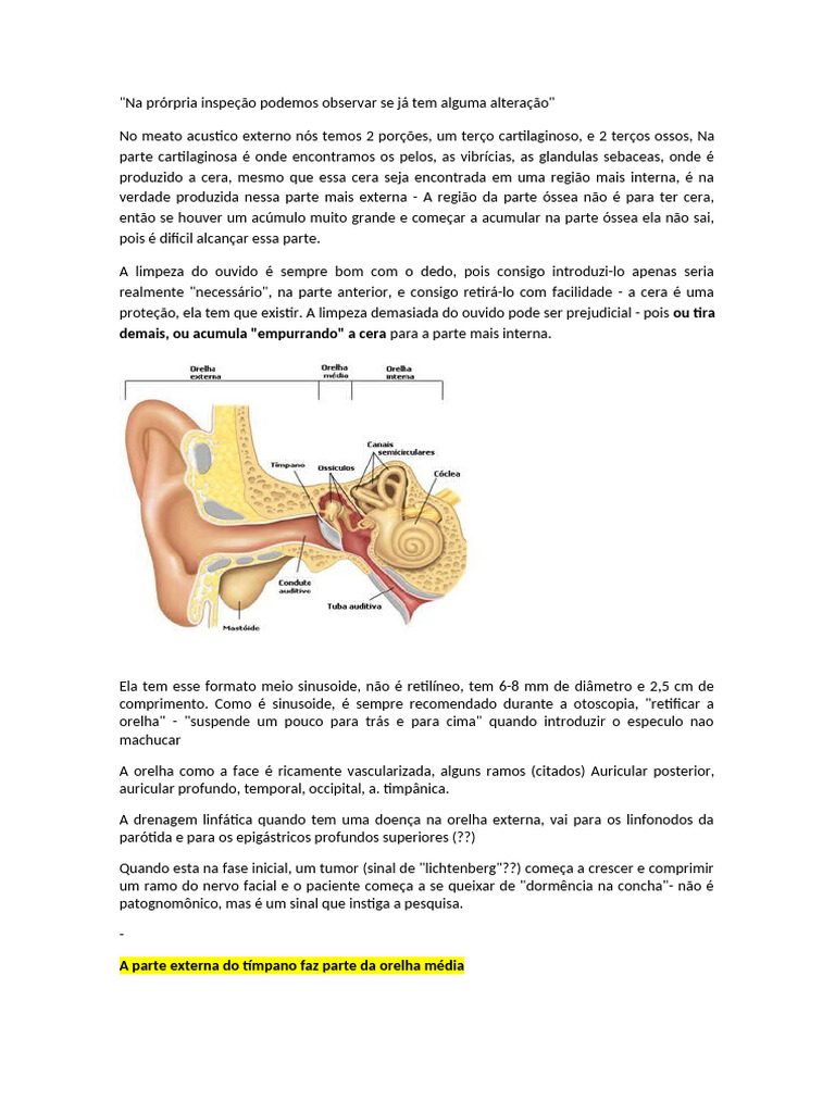 Anatomia e Função da Orelha Humana | PDF | Audição | Orelha