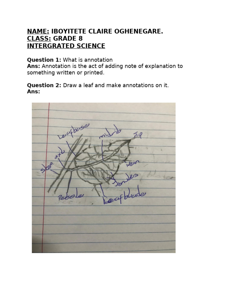 Grade 8 Integrated Science Annotations | PDF