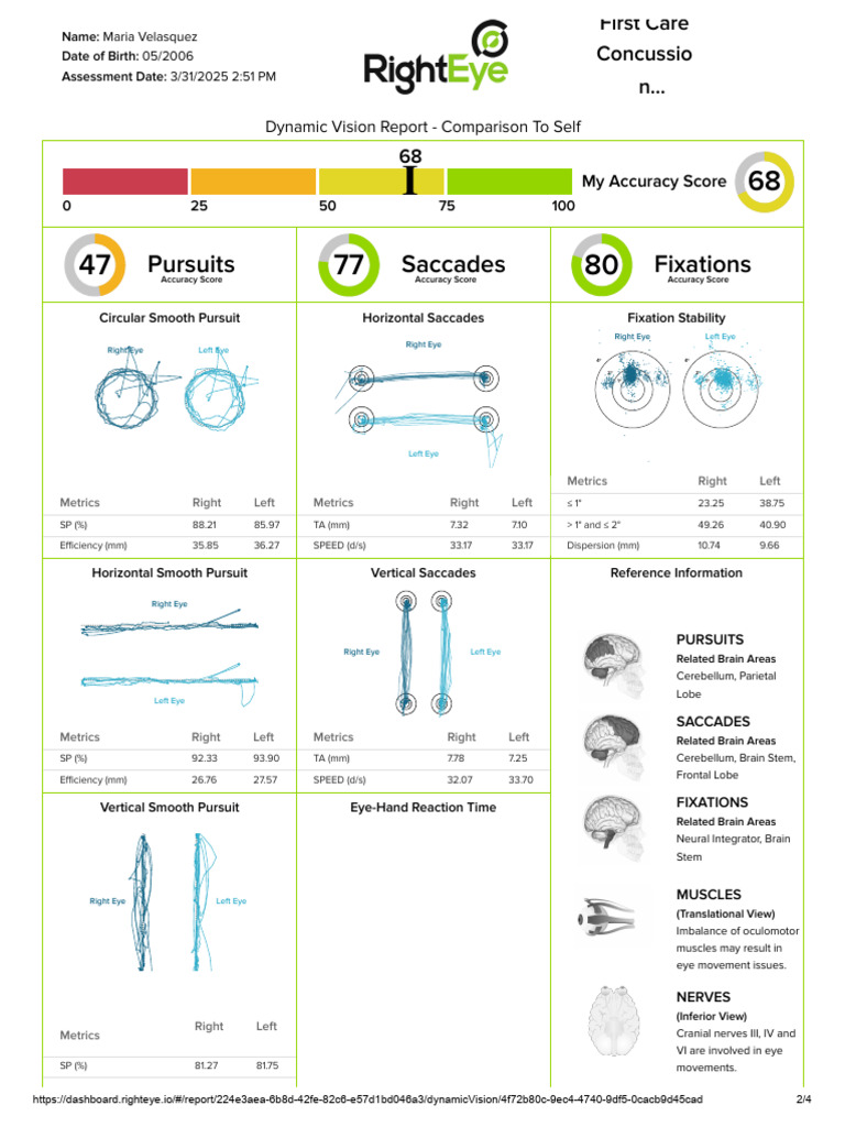 Dynamic Vision Report for Maria Velasquez | PDF | Cognitive Science ...