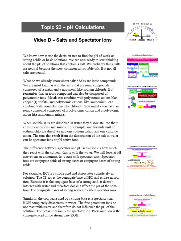 Topic 23 Video D Transcript | PDF | Salt (Chemistry) | Acid