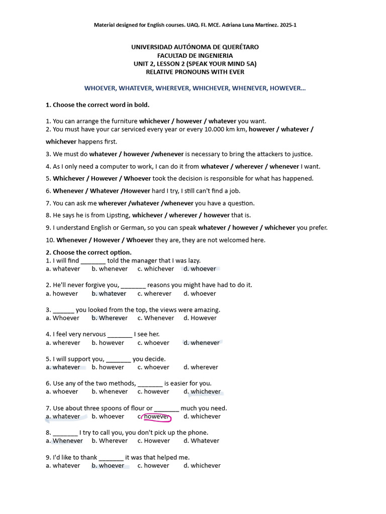 Relative Pronouns Exercises | PDF