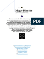 La Magie Blanche Interdite en France