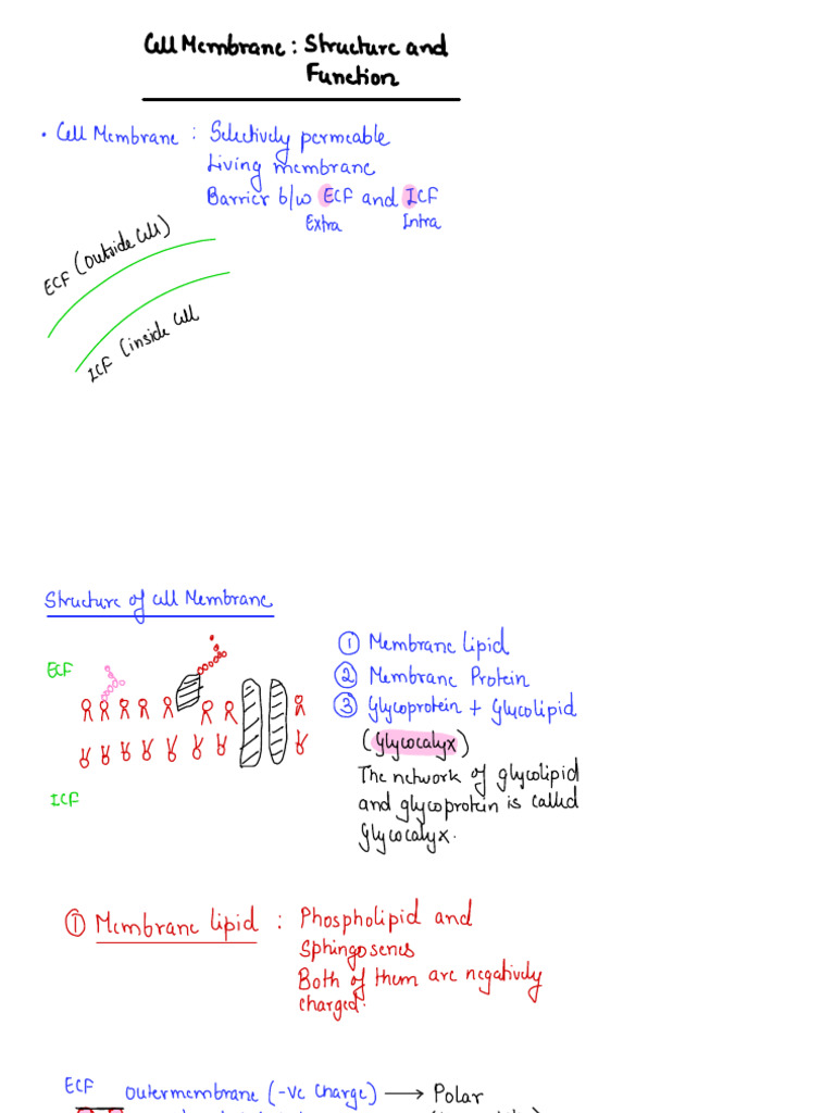 Cell Membrane Structure and Functions | PDF | Cell Membrane | Molecular ...