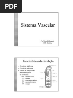 10 Sistema Vascular