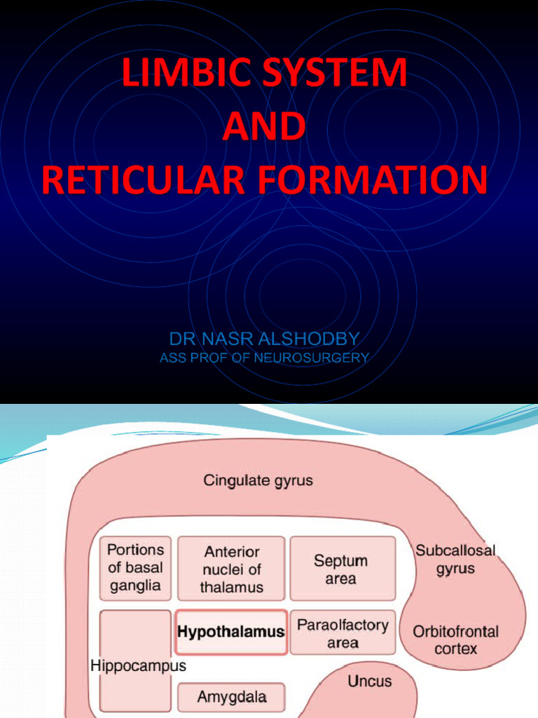 Limpic Sys | PDF | Limbic System | Hippocampus