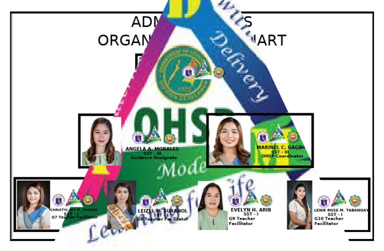 OHSP Organizational Chart Overview | PDF
