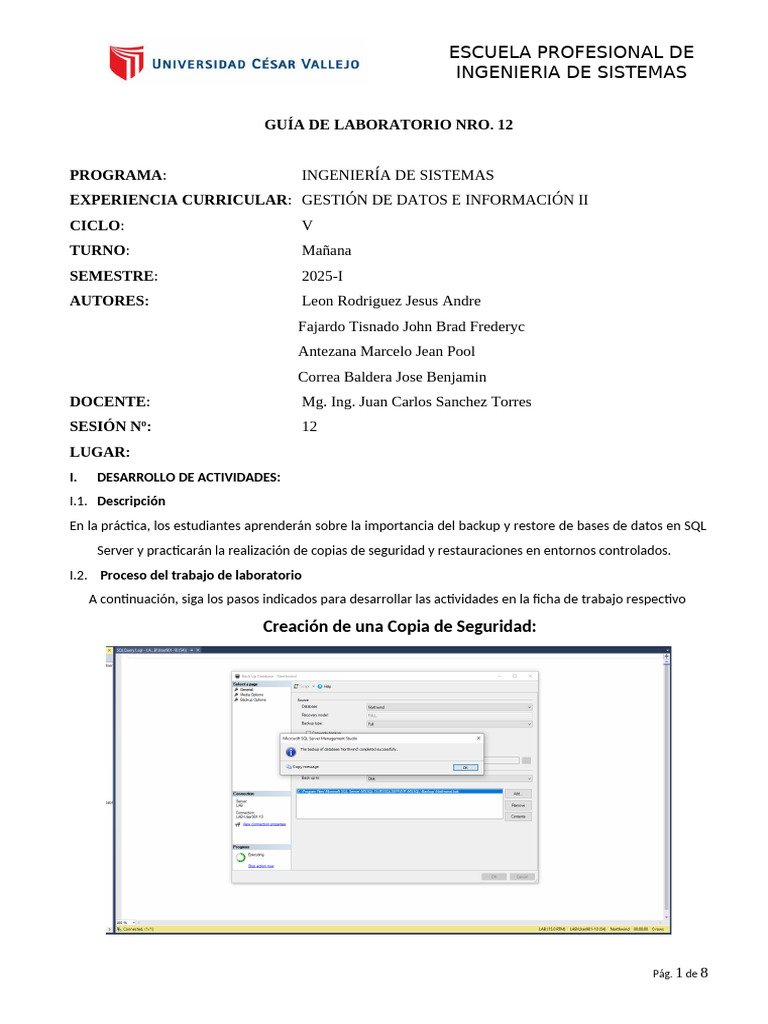 Respaldo y Restauración en SQL Server | PDF | La seguridad informática ...